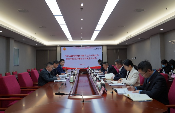 ½ñÄê»á¹ÙÍø¼¯Íŵ³Î¯Êé¼Ç¡¢¶Ê³¤Èζ¡³öϯåÐÒ£Âùݼ¯ÍÅ2022Äê¶Èµ³Ô±Ïòµ¼¸É²¿ÃñÖ÷ÉúÑÄ»á