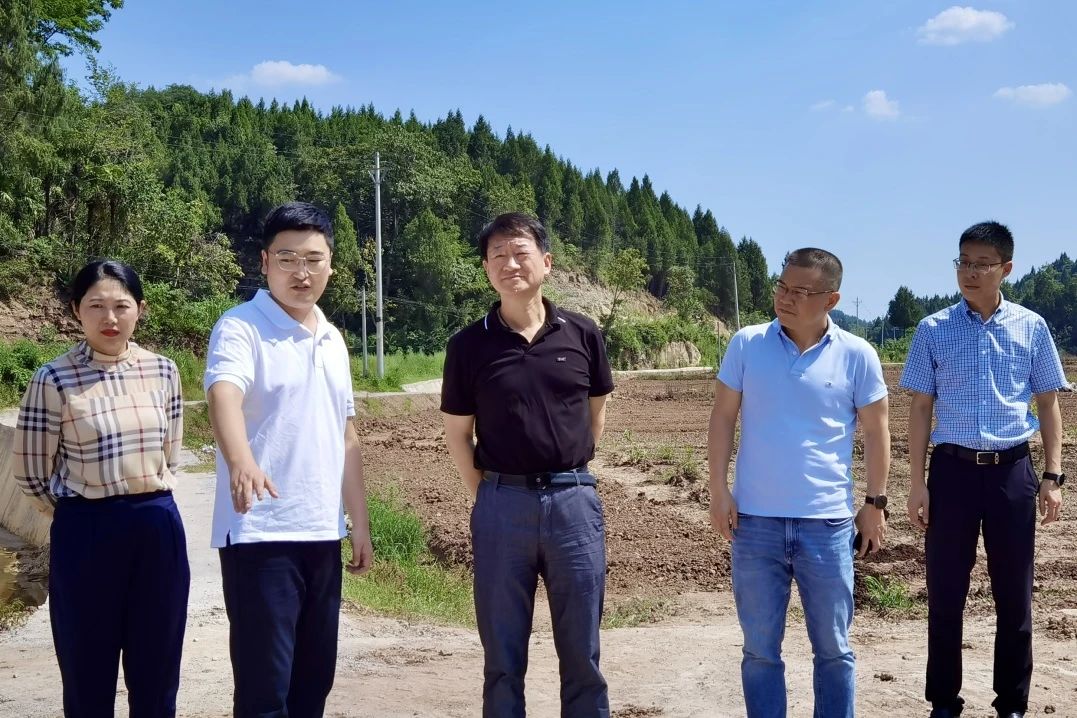 ʡŵίǡ³ζʶӸϳؿչ