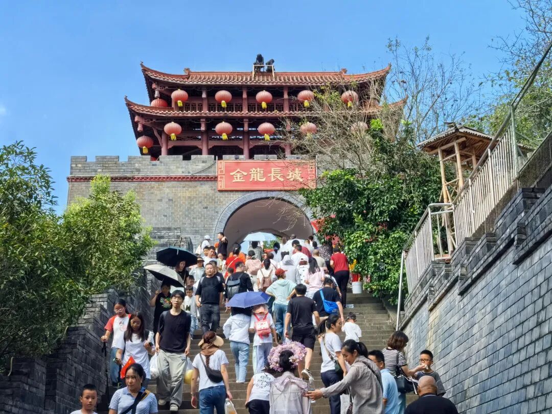 ʡ򵼴ӿչ졢˫ڡ徲鲢̽οһ߸ɲְ